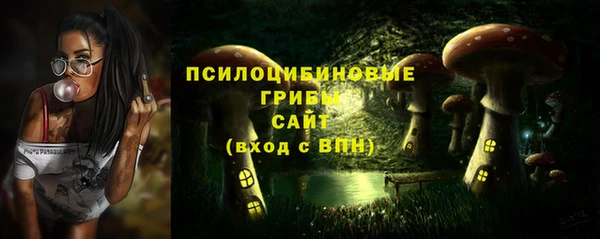 марки nbome Белокуриха