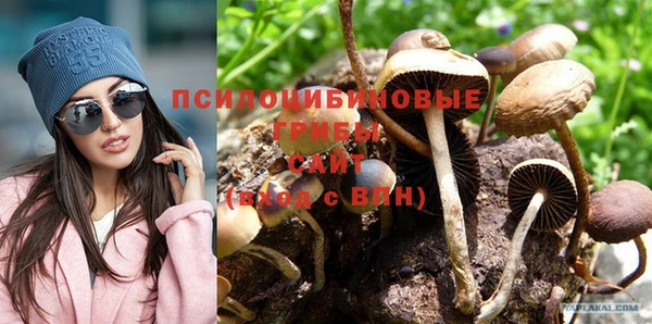 марки nbome Белокуриха