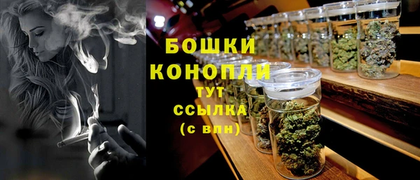 индика Белоозёрский