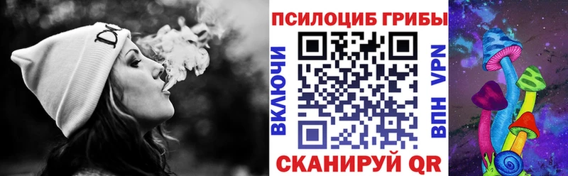 мега как войти  Берёзовка  Галлюциногенные грибы MAGIC MUSHROOMS 