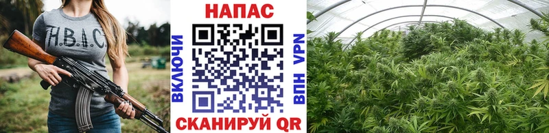 Каннабис THC 21% блэк спрут tor Берёзовка купить наркотики цена